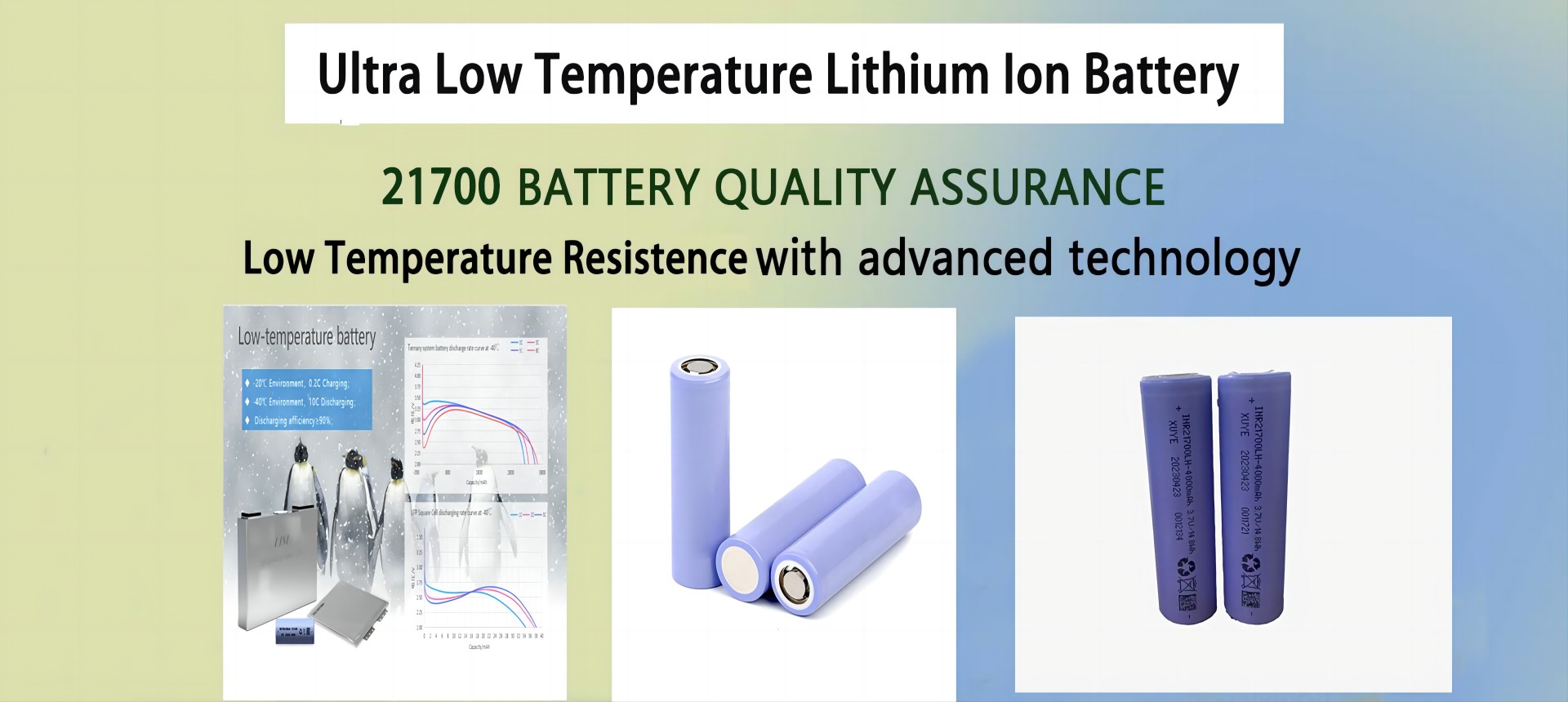Low Temperature Batteries - LISH New Energy